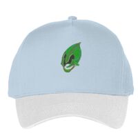 Classic 5-panel snapback (6007) Vignette