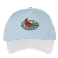 Classic 5-panel snapback (6007) Vignette