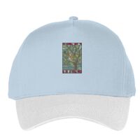 Classic 5-panel snapback (6007) Vignette