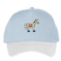 Classic 5-panel snapback (6007) Vignette