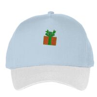 Classic 5-panel snapback (6007) Vignette