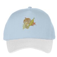 Classic 5-panel snapback (6007) Vignette