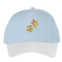 Classic 5-panel snapback (6007) Vignette