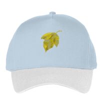 Classic 5-panel snapback (6007) Vignette