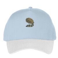 Classic 5-panel snapback (6007) Vignette