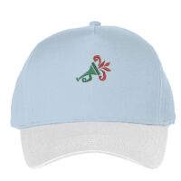 Classic 5-panel snapback (6007) Vignette