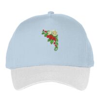 Classic 5-panel snapback (6007) Vignette