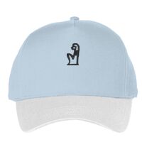 Classic 5-panel snapback (6007) Vignette