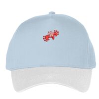 Classic 5-panel snapback (6007) Vignette