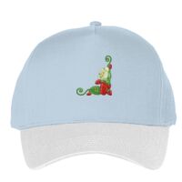 Classic 5-panel snapback (6007) Vignette