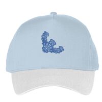 Classic 5-panel snapback (6007) Vignette