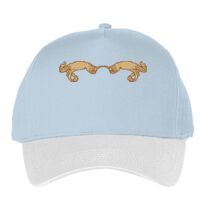 Classic 5-panel snapback (6007) Vignette