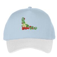 Classic 5-panel snapback (6007) Vignette