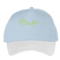 Classic 5-panel snapback (6007) Vignette