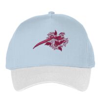 Classic 5-panel snapback (6007) Vignette