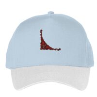 Classic 5-panel snapback (6007) Vignette