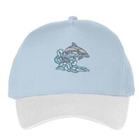 Classic 5-panel snapback (6007) Vignette