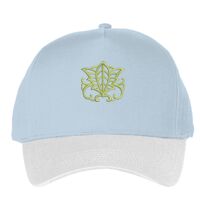 Classic 5-panel snapback (6007) Vignette