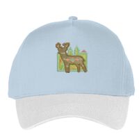 Classic 5-panel snapback (6007) Vignette