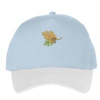 Classic 5-panel snapback (6007) Vignette