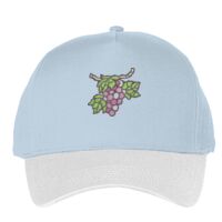 Classic 5-panel snapback (6007) Vignette