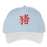 Classic 5-panel snapback (6007) Vignette