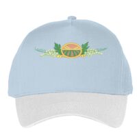 Classic 5-panel snapback (6007) Vignette