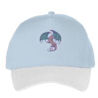 Classic 5-panel snapback (6007) Vignette