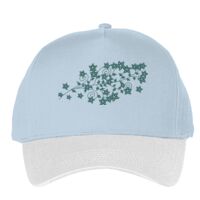 Classic 5-panel snapback (6007) Vignette