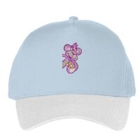 Classic 5-panel snapback (6007) Vignette