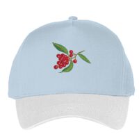 Classic 5-panel snapback (6007) Vignette