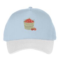 Classic 5-panel snapback (6007) Vignette