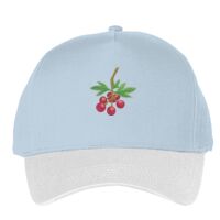 Classic 5-panel snapback (6007) Vignette