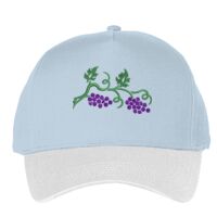 Classic 5-panel snapback (6007) Vignette