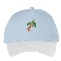 Classic 5-panel snapback (6007) Vignette