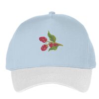 Classic 5-panel snapback (6007) Vignette