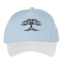 Classic 5-panel snapback (6007) Vignette