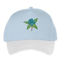 Classic 5-panel snapback (6007) Vignette