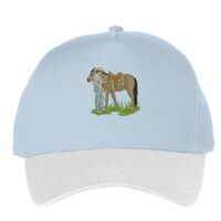 Classic 5-panel snapback (6007) Vignette