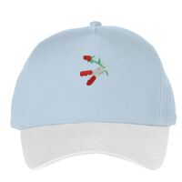 Classic 5-panel snapback (6007) Vignette