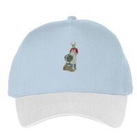 Classic 5-panel snapback (6007) Vignette