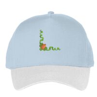 Classic 5-panel snapback (6007) Vignette