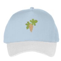 Classic 5-panel snapback (6007) Vignette