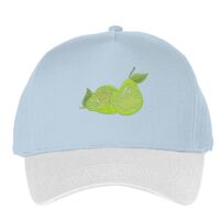 Classic 5-panel snapback (6007) Vignette