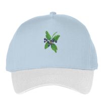 Classic 5-panel snapback (6007) Vignette