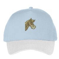 Classic 5-panel snapback (6007) Vignette