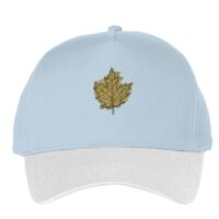 Classic 5-panel snapback (6007) Vignette