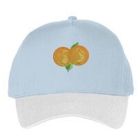 Classic 5-panel snapback (6007) Vignette