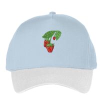 Classic 5-panel snapback (6007) Vignette