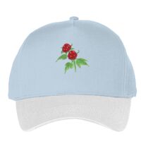 Classic 5-panel snapback (6007) Vignette